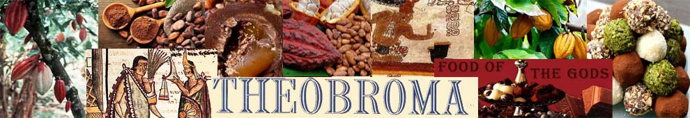 theobroma chocolate